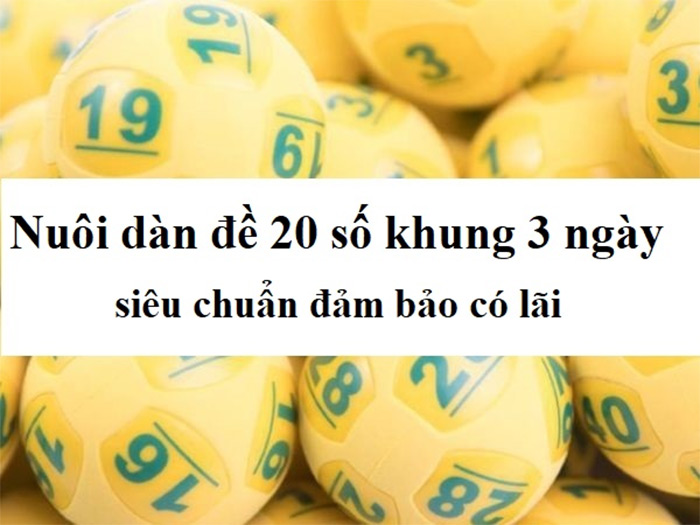 Kinh nghiệm nuôi dàn đề 20 số tỷ lệ thắng cao