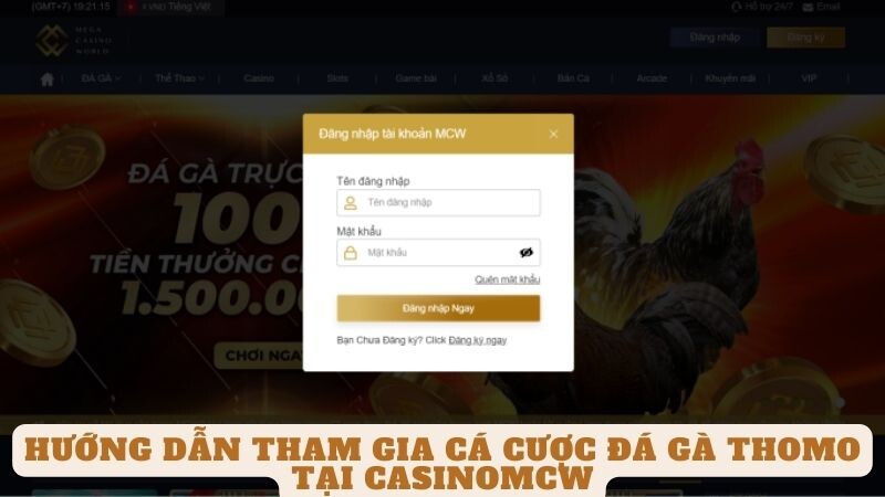 Hướng dẫn tham gia cá cược đá gà Thomo tại casinomcw