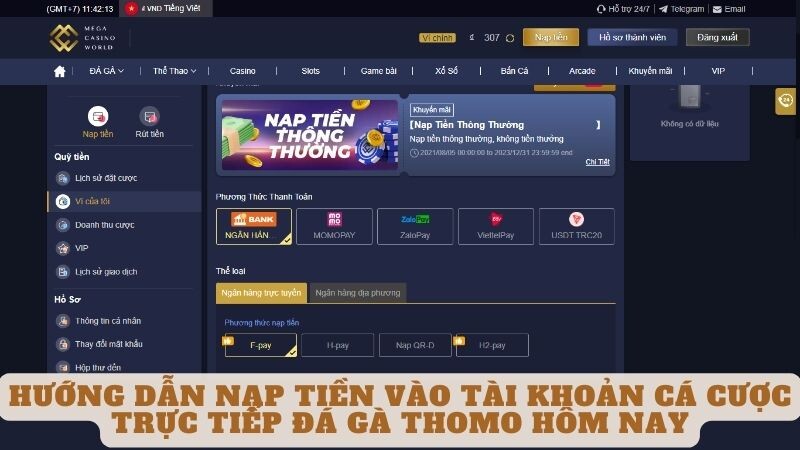 Hướng dẫn nạp tiền vào tài khoản cá cược trực tiếp đá gà Thomo hôm nay