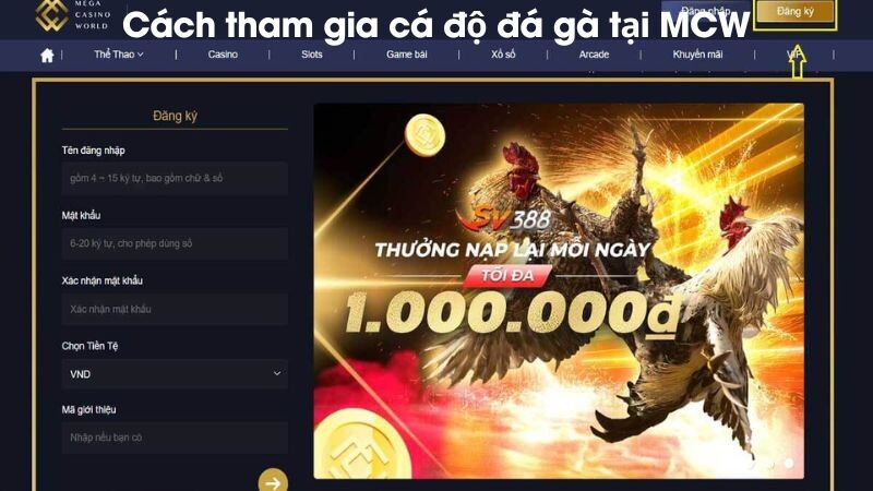 Cách tham gia cá độ đá gà tại MCW